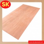 Importer and distributor of plywood sheets