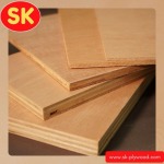 Importer and distributor of plywood sheets