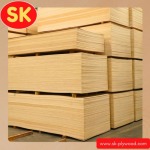 Importer and distributor of plywood sheets