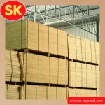 Importer and distributor of plywood sheets