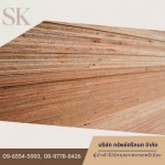 Importer and distributor of plywood sheets