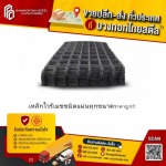 Bangkok Thai Steel Co., Ltd.