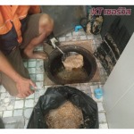 Cleaning grease traps, Nonthaburi - รับดูดส้วม แก้ปัญหาท่อตัน นนทบุรี 
