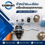 จำหน่ายปั๊มลมอุตสาหกรรม - ไคชัน (ประเทศไทย)