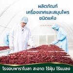 โรงงานรับผลิตชาสมุนไพร-กอเงินออร์แกนิคฟาร์ม