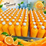 โรงงานน้ำส้มคั้นสด ปทุมธานี น้ำส้มคั้นวโรรส
