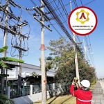 All Power And Energy Co., Ltd.