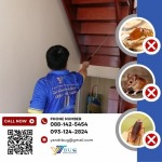 รับกำจัดปลวก ใกล้ฉัน - บริษัทกำจัดปลวก สมุทรสาคร - วาย แอนด์ ที บัก เมเนจเม้นท์