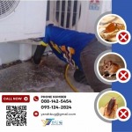 กำจัดปลวก ราคาเท่าไหร่ - บริษัทกำจัดปลวก สมุทรสาคร - วาย แอนด์ ที บัก เมเนจเม้นท์
