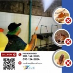 รับฉีดปลวก ราคาถูก - บริษัทกำจัดปลวก สมุทรสาคร - วาย แอนด์ ที บัก เมเนจเม้นท์