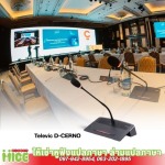 MIGHTY MICE COMPANY LIMITED