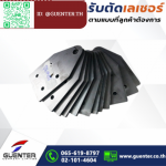 Guenter Co., Ltd.