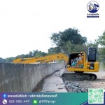 รับตัดต้นไม้พร้อมขนทิ้ง กรุงเทพ - รับจ้างขนขยะไปทิ้ง - ป.ประยูรเซอร์วิส
