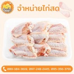 ขายไก่ราคาถูก - ขายส่งไก่ - บ้านไก่บึงคำพร้อย