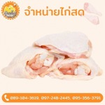 ขายส่งไก่ - บ้านไก่บึงคำพร้อย