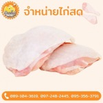 ขายส่งไก่ - บ้านไก่บึงคำพร้อย