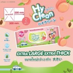 ทิชชู่เปียกไฮคลีน-Hyclean - แผ่นแปะร้อนใน - บริษัท 3ที เนเชอเฮิร์บ จำกัด