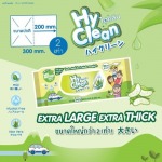 ผลิต จำหน่ายผ้าเปียก Hy Clean - แผ่นแปะร้อนใน - บริษัท 3ที เนเชอเฮิร์บ จำกัด