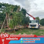 บริการรถเฮี๊ยบรับจ้างขนย้าย - คำนึงรถเฮี๊ยบรับจ้าง by ธงชัย