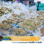 ขายส่งขายปลีกอาหารทะเล - ขายส่งอาหารทะเลตลาดธนบุรี เฮงเฮงอาหารทะเลสด