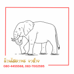 ร้านขายงาช้าง - รับซื้องาช้าง ทุกชนิด