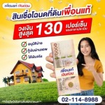 สินเชื่อที่ดินเปล่า - สินเชื่อหลักประกัน - เพื่อนแท้ เงินด่วน