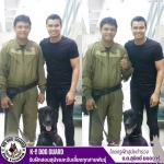 ฝึกสุนัข K9 ราคา - รับฝึกสอนสุนัขและรับเลี้ยงทุกสายพันธุ์