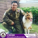 รับฝึกสอนสุนัขและรับเลี้ยงทุกสายพันธุ์