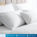 รับซักอบรีดธุรกิจอุตสาหกรรม - มิสเตอร์เควิน ลอนดรี้ 