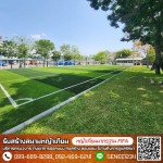 Team Turf Sport Construction Company Limited