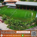 Team Turf Sport Construction Company Limited