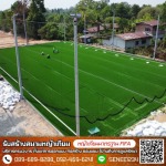 Team Turf Sport Construction Company Limited