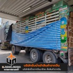 Uneed Development Group Co., Ltd.