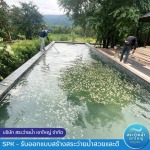Swimming Pool Khaoyai Company Limited