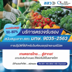 รับตรวจรับรองระบบมาตรฐาน และออกใบรับรอง Certification