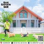 รับฝากเลี้ยงสุนัข - dog garden bkk