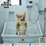 รับฝากเลี้ยงสุนัข - dog garden bkk