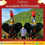 ไก่ปูนปั้นแก้บนไอ้ไข่ - ร้านขายของไหว้แก้บนไอ้ไข่วัดเจดีย์ - โกจุย