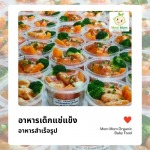 Frozen baby food - Kindee Foodservice Company Limited