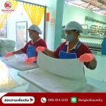 Industrial laundry factory - BANGKOK LAUNDRY LIMITED PARTNERSHIP
