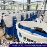 จัดหาและนำเข้าสินค้าจากจีน