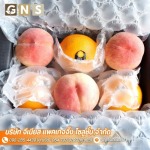 GENIUS PACKAGING SOLUTION CO., LTD.