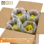 GENIUS PACKAGING SOLUTION CO., LTD.