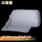 GENIUS PACKAGING SOLUTION CO., LTD.