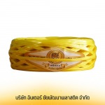 Inter Chaipattana Plastic Company Limited