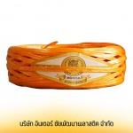 Inter Chaipattana Plastic Company Limited