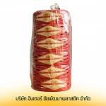 Inter Chaipattana Plastic Company Limited