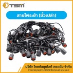 สายไฟระย้า (ขั้วเปล่า) พระราม 2 - จำหน่ายชุดอุปกรณ์ไฟฟ้า โซล่าเซลล์ พระราม 2