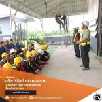 P. Y. Cleaning and Service Company Limited