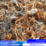 ร้านรับซื้อทองเหลืองใกล้ฉัน - รับซื้อเศษเหล็ก ประมูลเครื่องจักรโรงงาน - ปทุมธานี